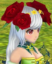 花赤60.jpg