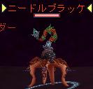 ニードルブラッケ.jpg