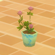綺麗な花の鉢.jpg